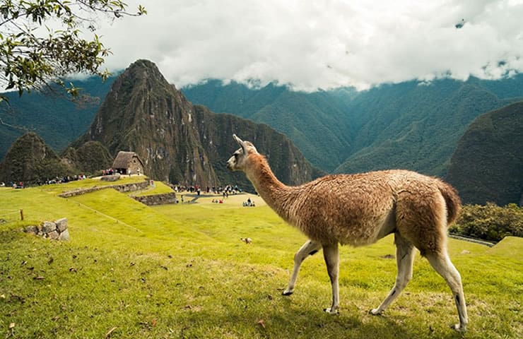 tour pela América Latina