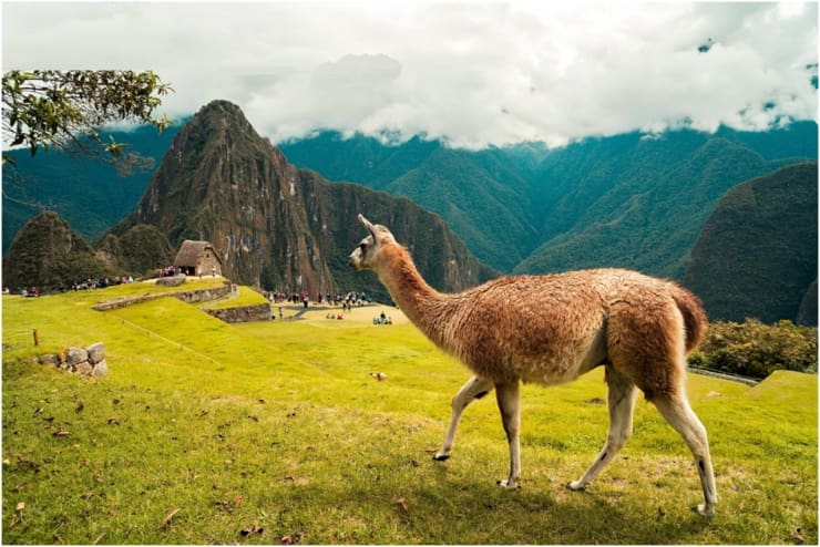 beneficios seguro viagem para peru