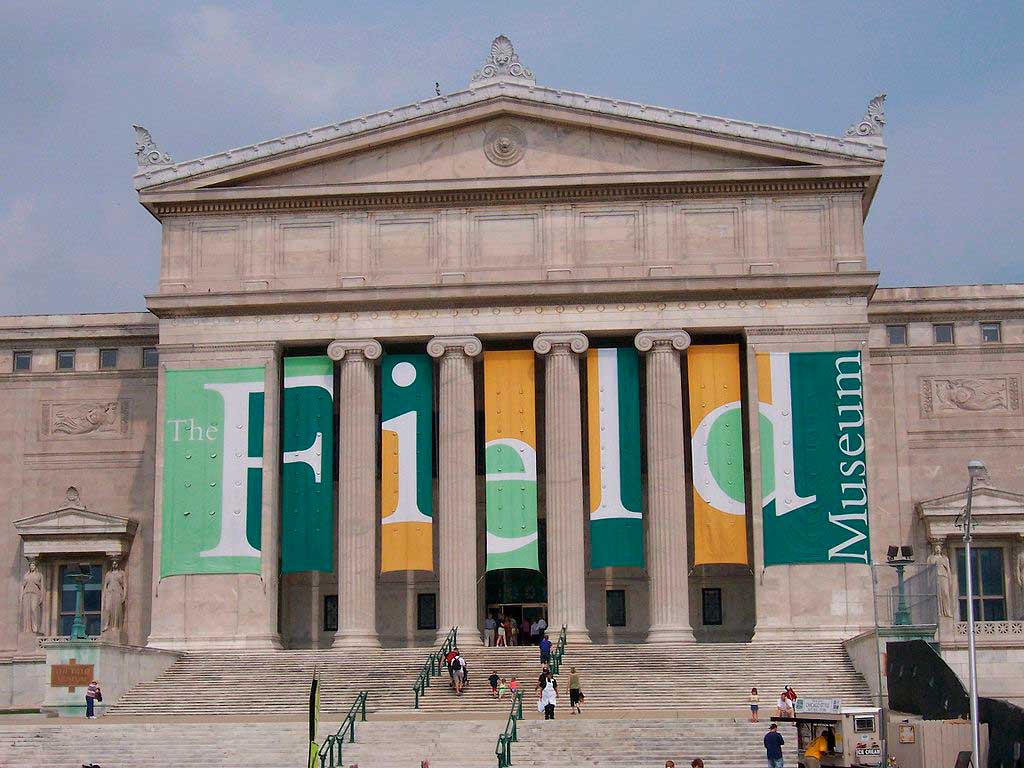 O que fazer em Chicago: Conhecer o Field Museum