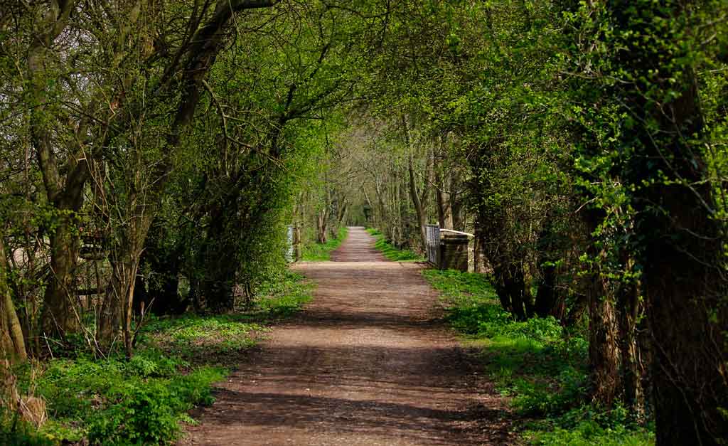 Dicas de passeios na Inglaterra