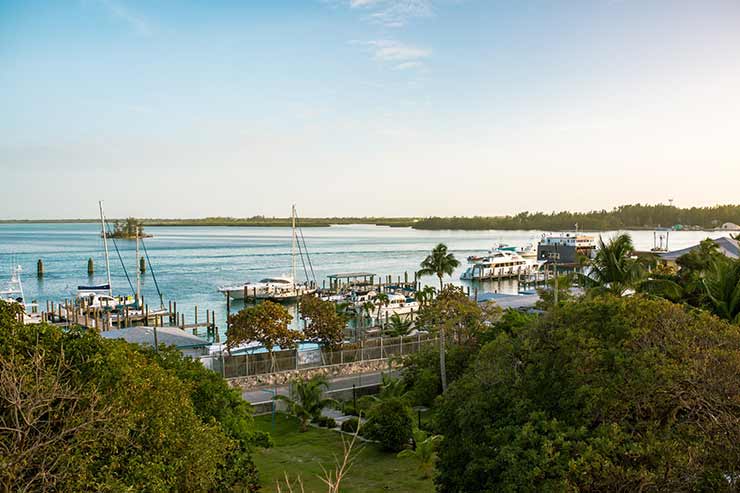 Bimini Harbour Bahamas