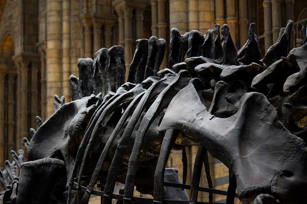 Museu de História Natural de Londres