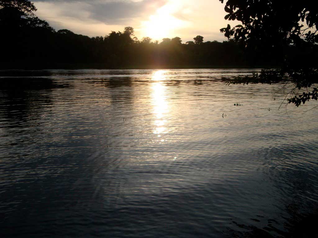 Canales Tortuguero