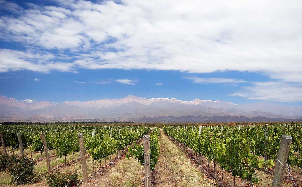 Vinícolas famosas em Mendoza