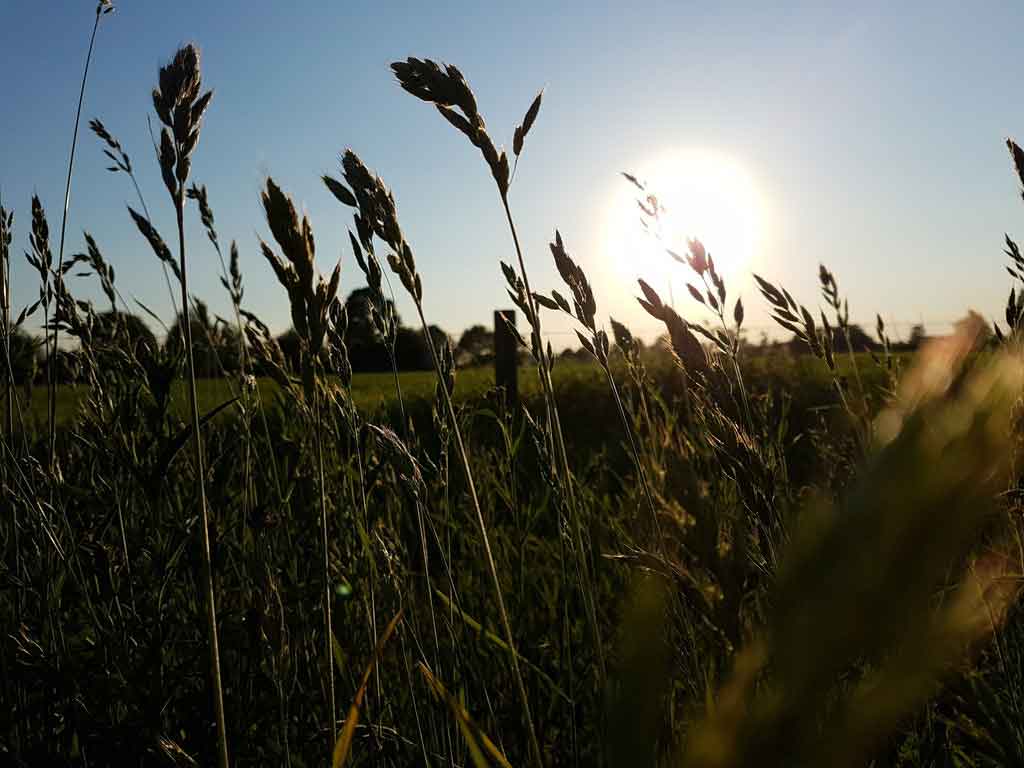 Tempratura média na primavera na Holanda