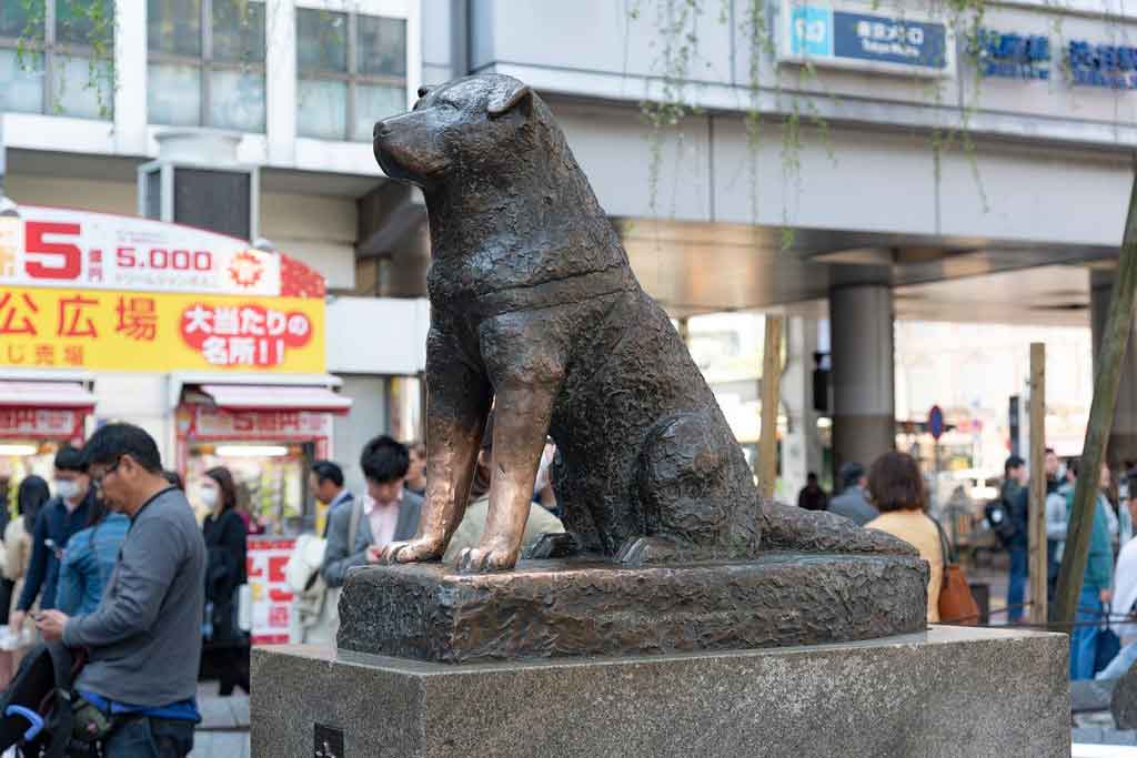 Toquio Hachiko memorial statue