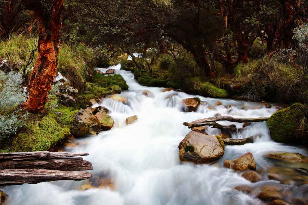 laguna 69 como é a trilha