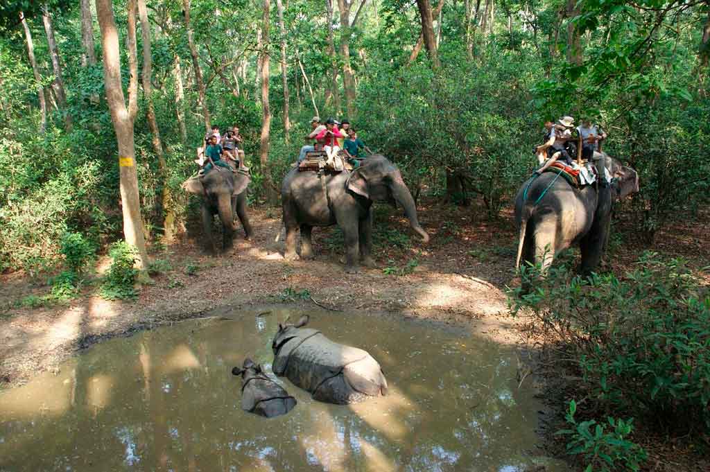 Nepal parque nacional Chitwan