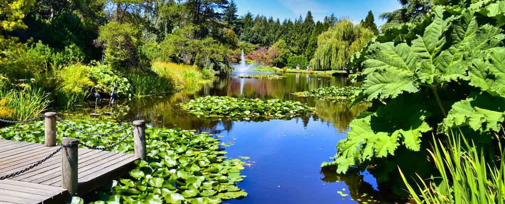 O que fazer em Vancouver VanDusen