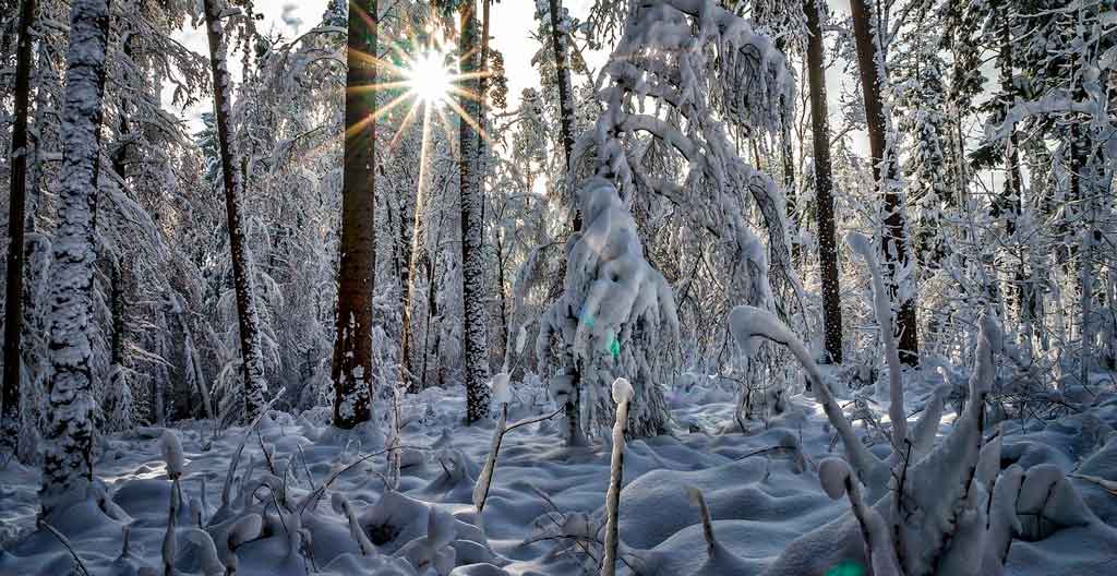 O que fazer em Zurique no inverno