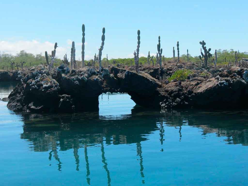 Ilha Galapagos qual a melhor época