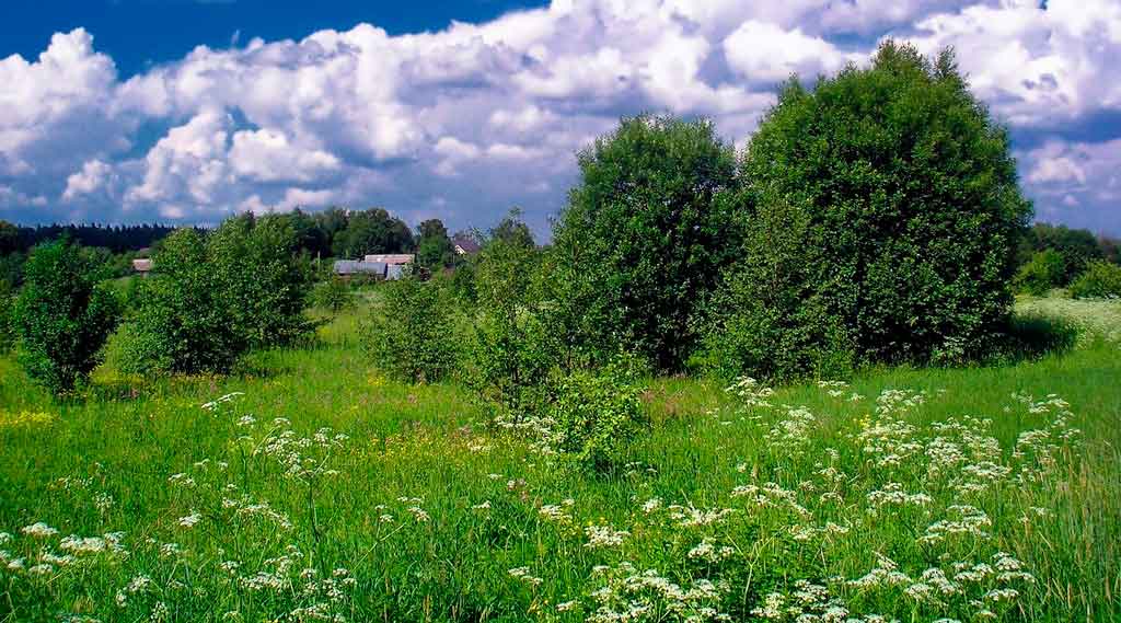 Clima da Rússia primavera