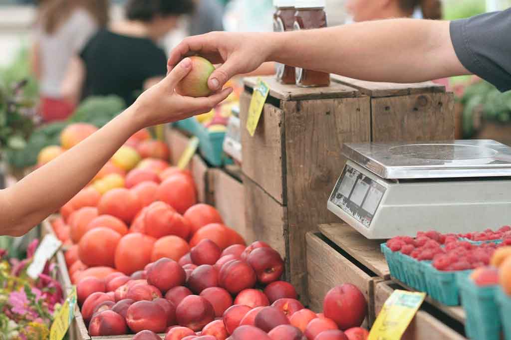 Santa Monica California farmers Market