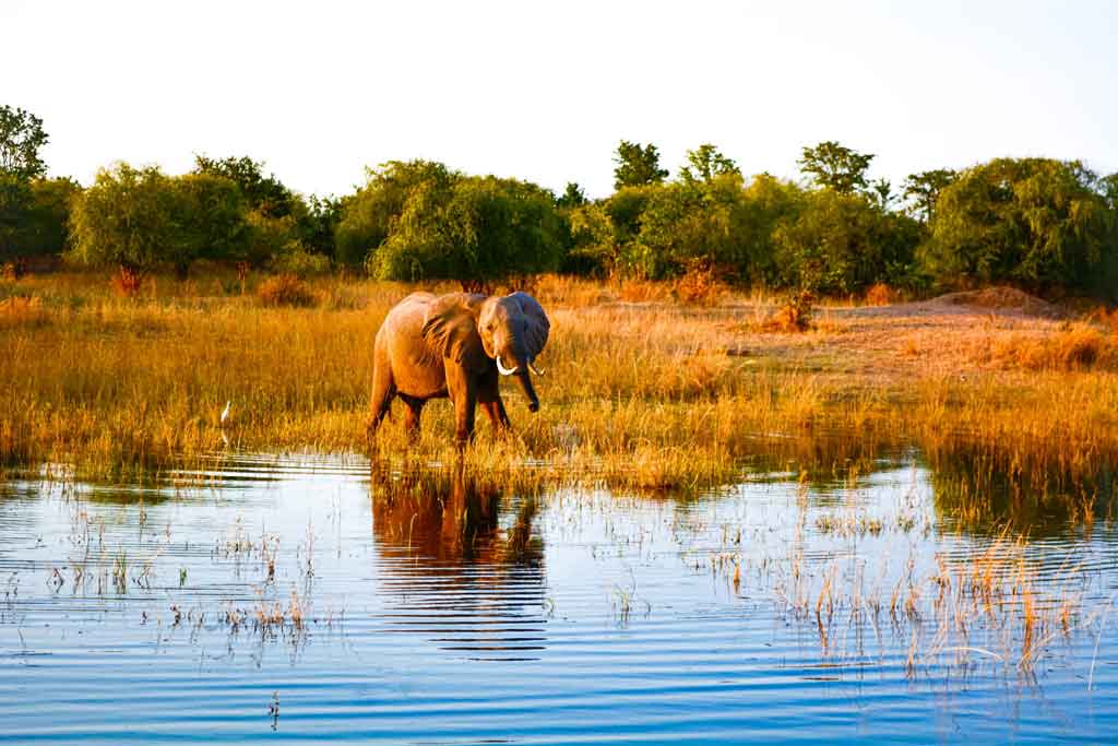 Zimbabwe moeda Lago Kariba