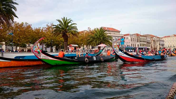 O que fazer em 1 dia em Aveiro, Portugal