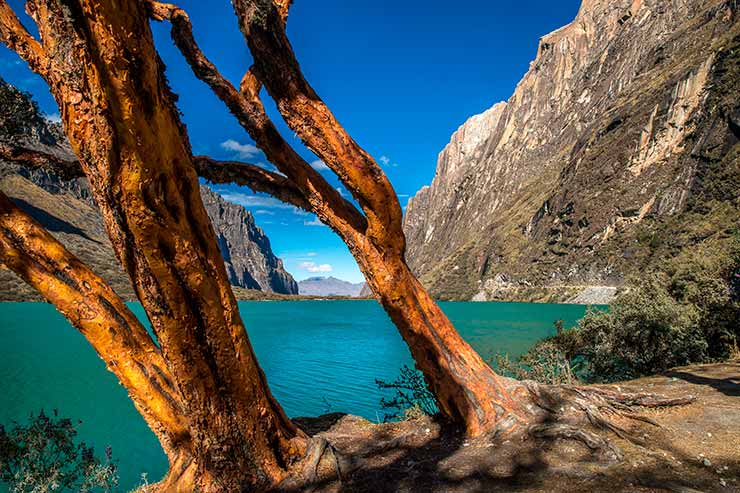 Lagunas Llanganuco