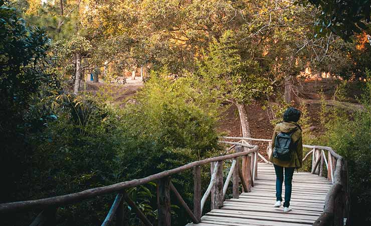 O que fazer em Tegucigalpa, capital de Honduras?