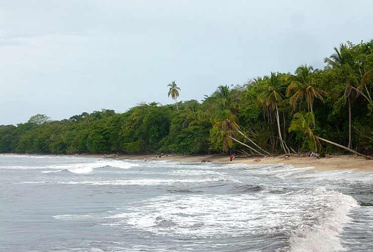 Parque Nacional Cahuita, Limón