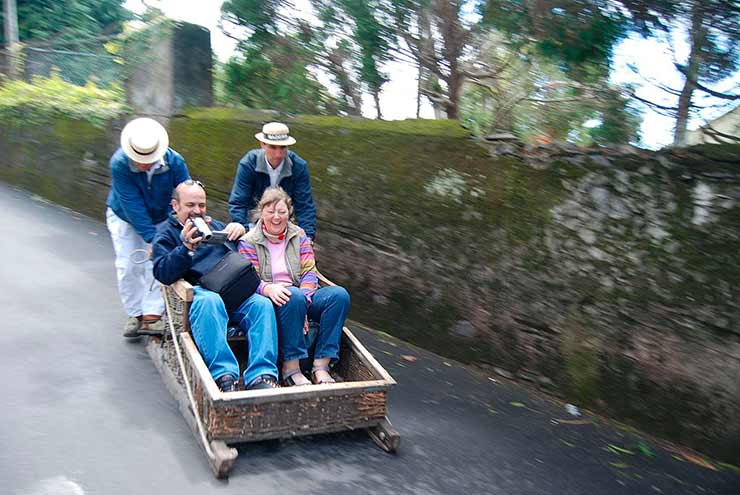 Carros de Cesto da Madeira