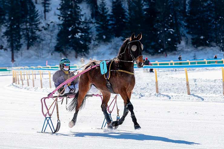 O que fazer em St Moritz no Inverno?