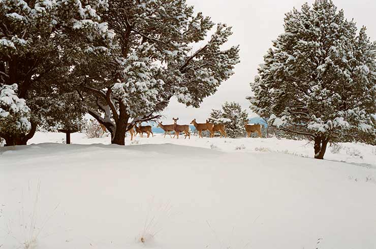 Quando começa a nevar em Aspen?