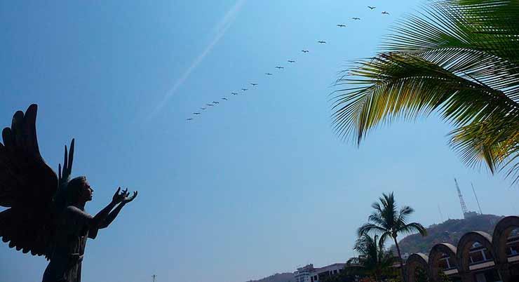 Puerto Vallarta Mexico Malecon