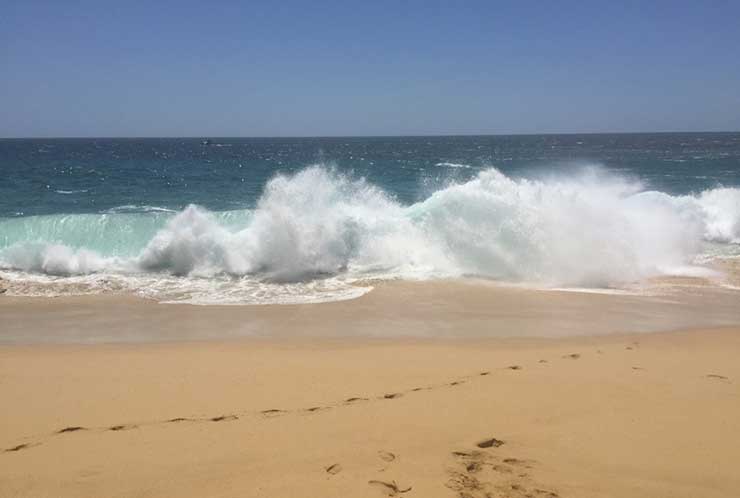 O que fazer em Cabo de São Lucas?