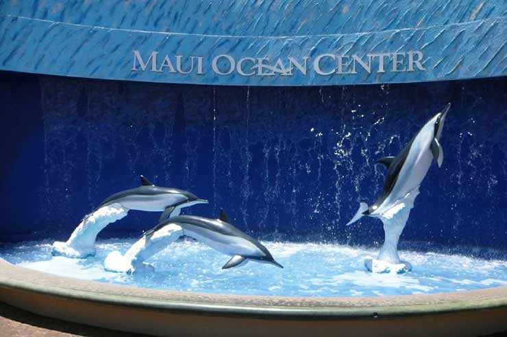 Maui Ocean Center