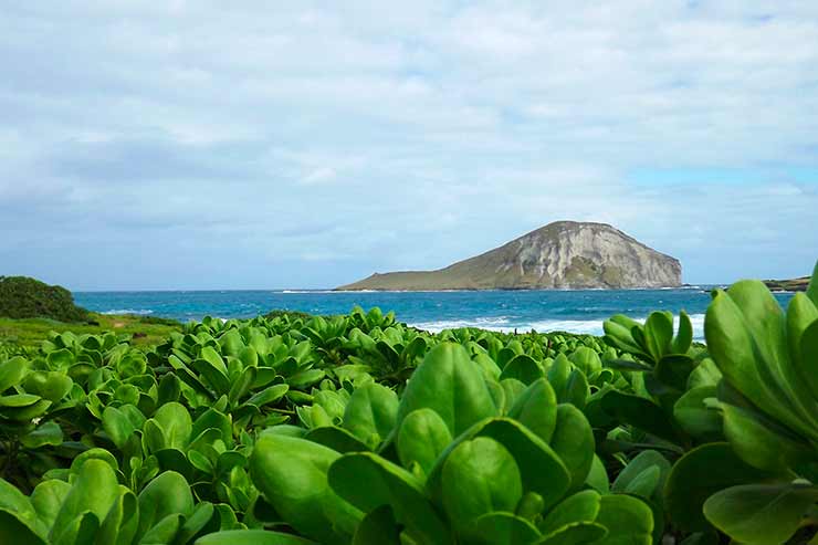 Onde fica a ilha de Maui?