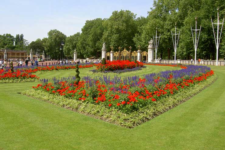 Buckingham Palace Flower Beds