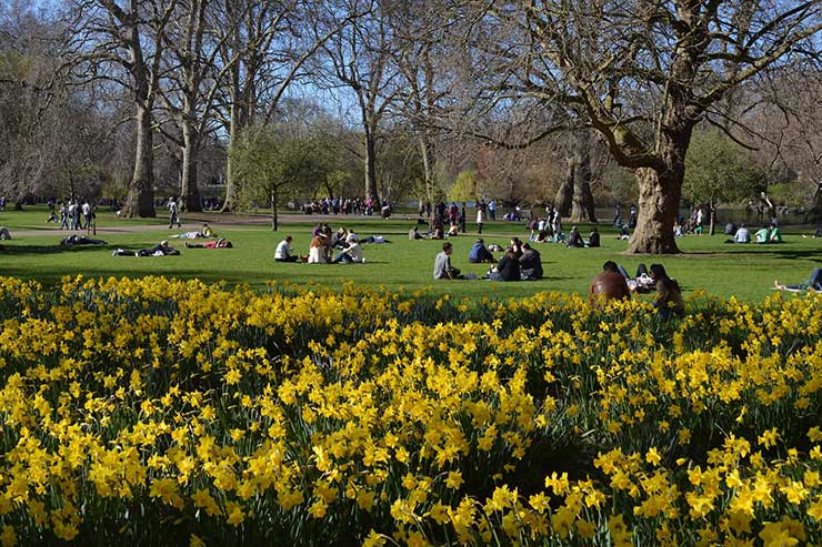 Como visitar o ST james Park