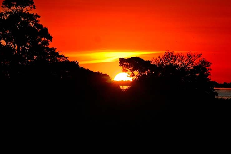 Qual a melhor época para visitar a Amazônia?