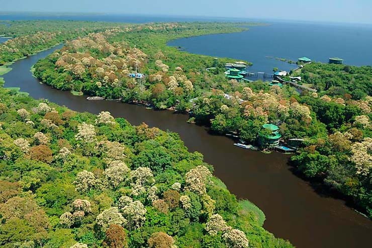 Conhecer o Parque Nacional Anavilhanas