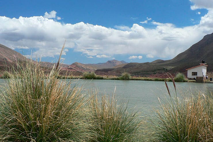 Ojo del Inca