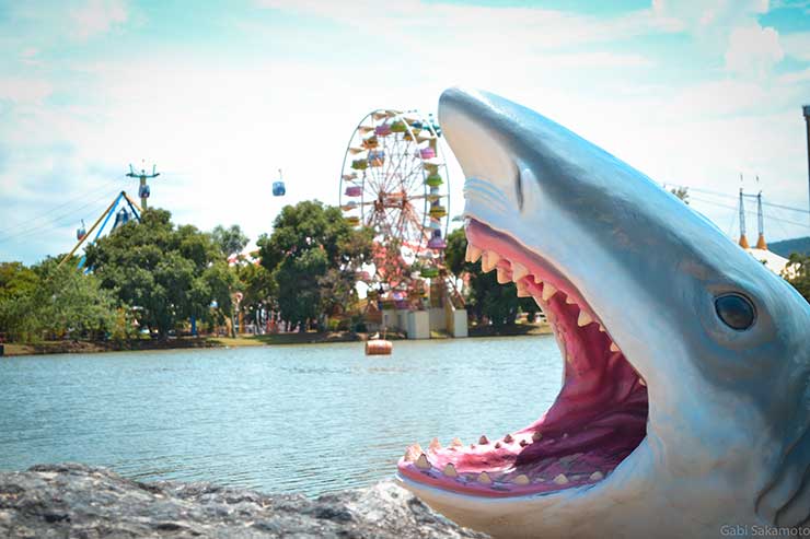 Beto Carrero World: dicas