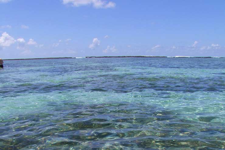 Em qual praia fica as piscinas naturais de Maragogi?