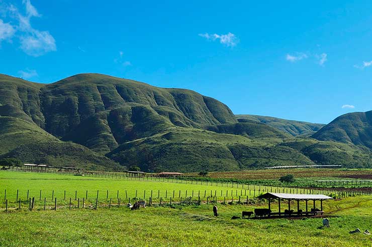 Serra da Canastra Rota do Queijo