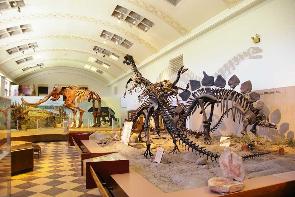 Natural History Museum of Utah