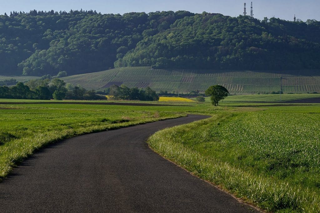 O que fazer perto de Wüzrburg?