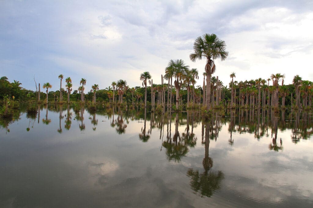 Lagoa das Araras