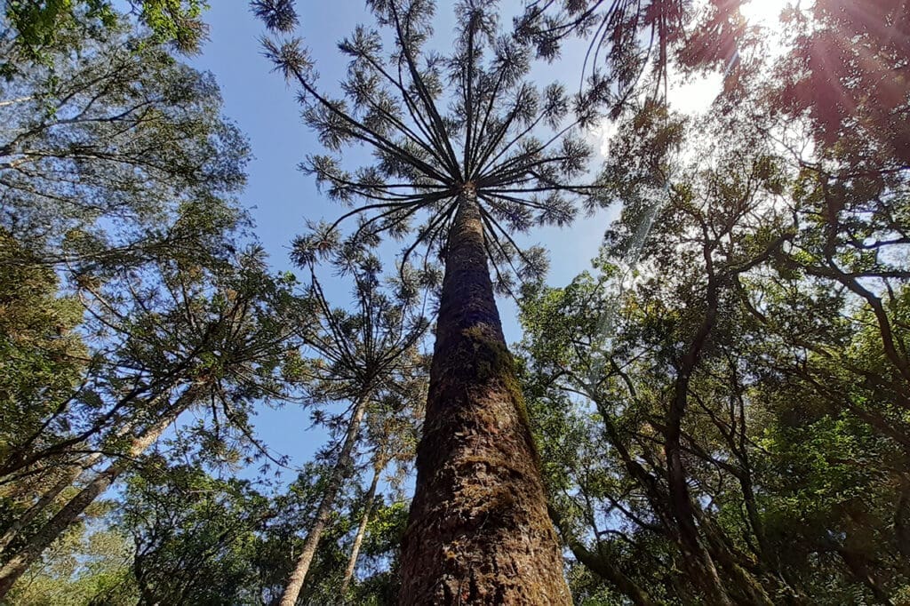 Parque do Alvorecer